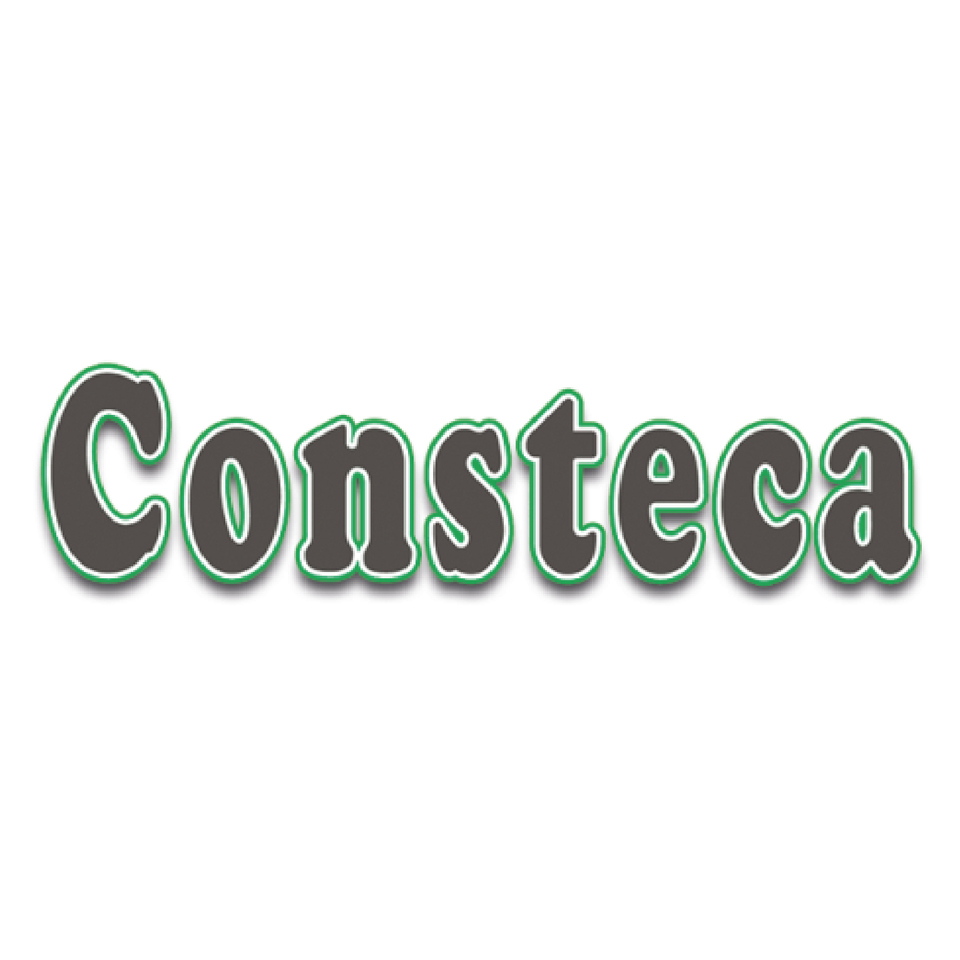 Logo Consteca